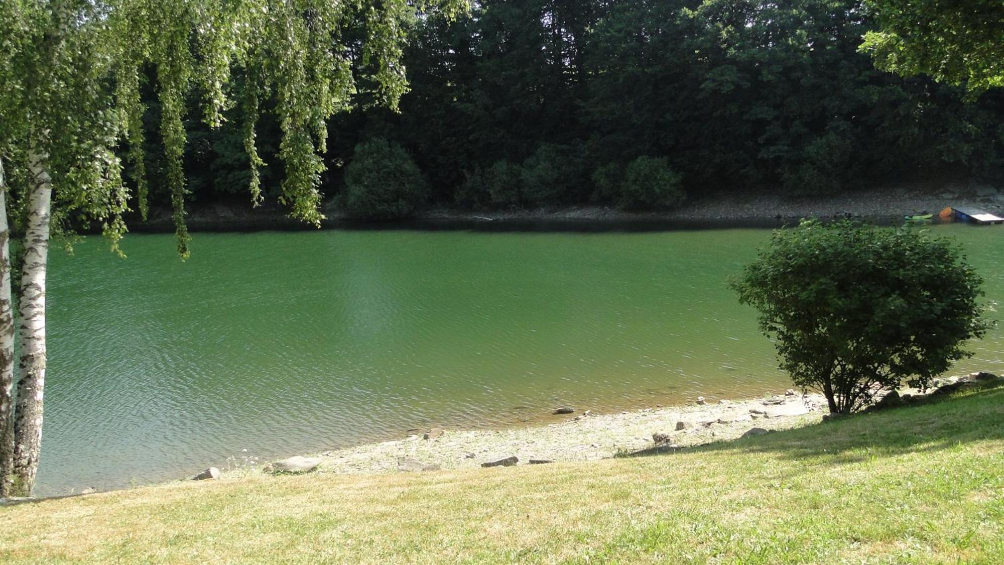 Maison Lac De Pareloup -Les Pieds Dans L'Eau- Arvieu Экстерьер фото